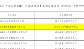 德胜钒钛入选2023年度“亩均论英雄”产业园区规上工业A类企业